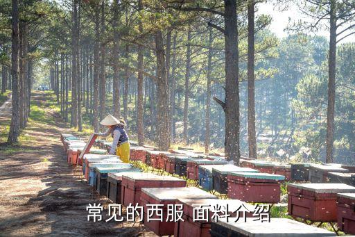 常見的西服 面料介紹