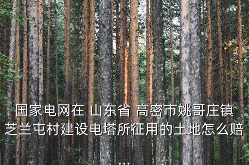 國家電網(wǎng)在 山東省 高密市姚哥莊鎮(zhèn)芝蘭屯村建設(shè)電塔所征用的土地怎么賠...