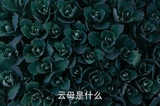 云華是什么面料,一盞云華是什么意思