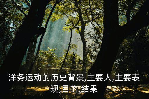 洋務(wù)運動的歷史背景,主要人,主要表現(xiàn),目的,結(jié)果