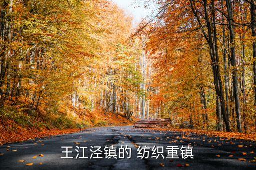 王江涇鎮(zhèn)的 紡織重鎮(zhèn)
