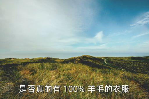 是否真的有 100% 羊毛的衣服