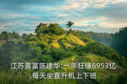 江蘇首富陳建華:一年狂賺6953億,每天坐直升機上下班
