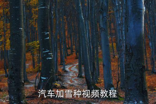 汽車加雪種視頻教程