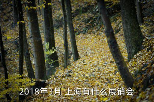 2018年3月 上海有什么展銷會