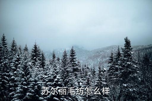 蘇爾麗毛紡怎么樣