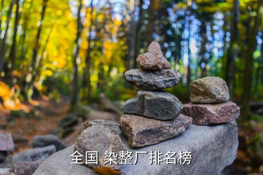 全國 染整廠排名榜