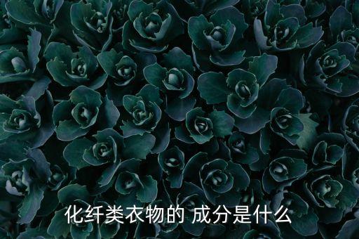 化纖類衣物的 成分是什么