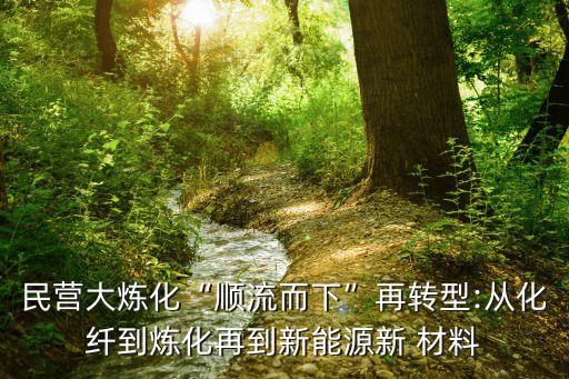 民營(yíng)大煉化“順流而下”再轉(zhuǎn)型:從化纖到煉化再到新能源新 材料