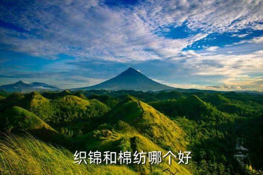  織錦和棉紡哪個(gè)好