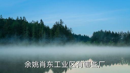 余姚肖東工業(yè)區(qū)有哪些廠