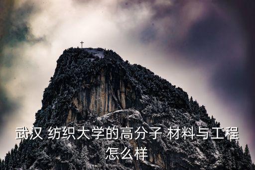 武漢 紡織大學(xué)的高分子 材料與工程怎么樣