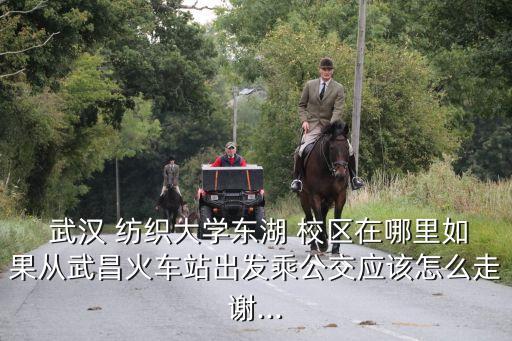  武漢 紡織大學東湖 校區(qū)在哪里如果從武昌火車站出發(fā)乘公交應該怎么走謝...