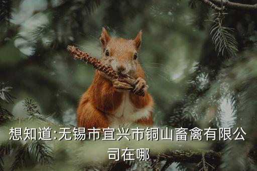 想知道:無錫市宜興市銅山畜禽有限公司在哪
