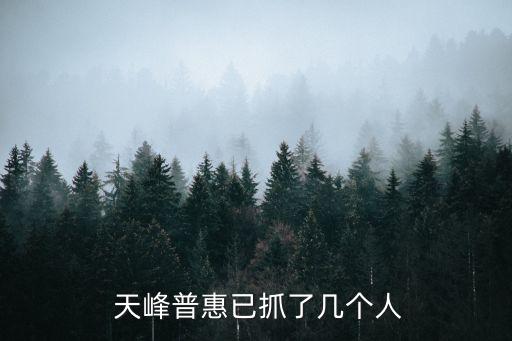  天峰普惠已抓了幾個人