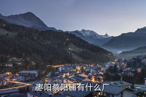 棗陽蔡陽鋪有什么廠