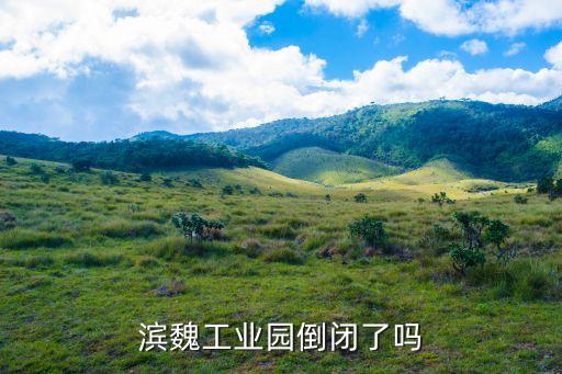 濱魏工業(yè)園倒閉了嗎