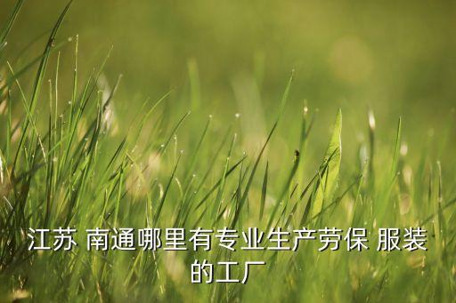 江蘇 南通哪里有專(zhuān)業(yè)生產(chǎn)勞保 服裝的工廠