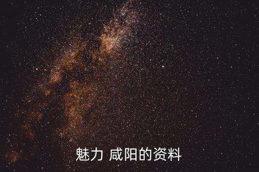 咸陽(yáng)紡織業(yè)