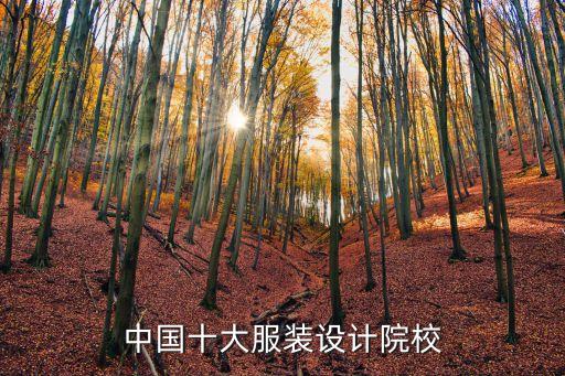 中國(guó)十大服裝設(shè)計(jì)院校