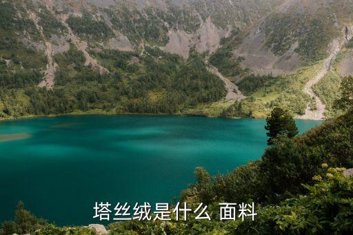 東麗塔絲隆面料,尼龍塔絲隆面料的優(yōu)缺點(diǎn)