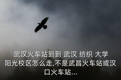  武漢火車站到到 武漢 紡織 大學(xué)陽光校區(qū)怎么走,不是武昌火車站或漢口火車站...