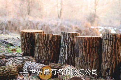 國外著名紡織企業(yè),國外倒閉的著名企業(yè)