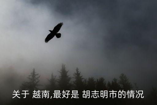 關(guān)于 越南,最好是 胡志明市的情況