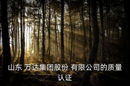 山東 萬達(dá)集團股份 有限公司的質(zhì)量認(rèn)證