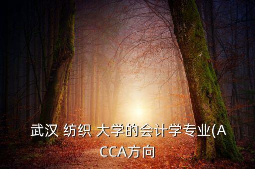 武漢 紡織 大學(xué)的會計學(xué)專業(yè)(ACCA方向