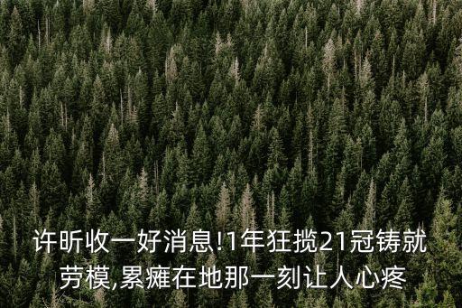 許昕收一好消息!1年狂攬21冠鑄就 勞模,累癱在地那一刻讓人心疼