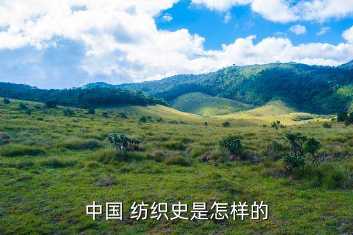 中國 紡織史是怎樣的