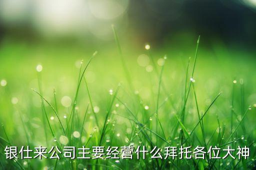 銀仕來(lái)公司主要經(jīng)營(yíng)什么拜托各位大神