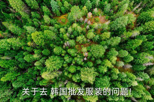 關(guān)于去 韓國批發(fā)服裝的問題!
