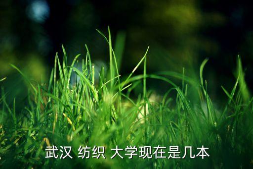  武漢 紡織 大學現(xiàn)在是幾本