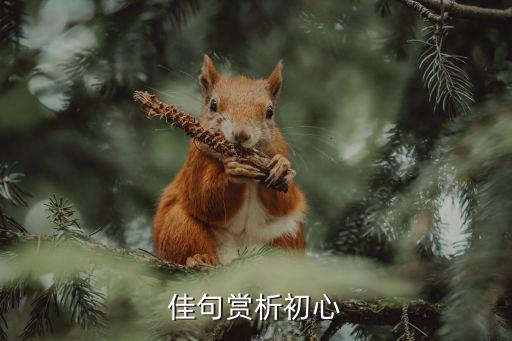 佳句賞析初心