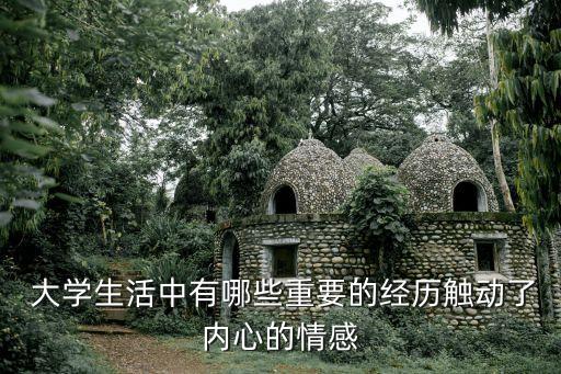 武漢紡織大學(xué) 彭育園,彭育園在武漢紡織大學(xué)做了什么