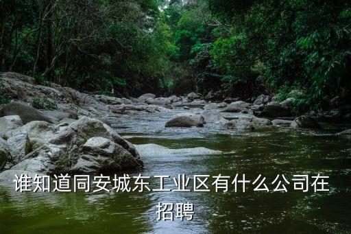 安徽日發(fā)紡織機械有限公司招聘,山東日發(fā)紡織機械有限公司招聘電話