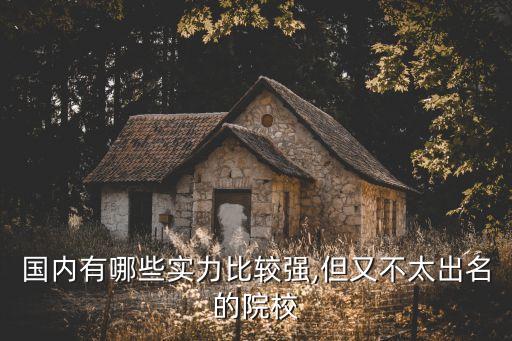 國內(nèi)有哪些實力比較強,但又不太出名的院校