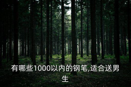 有哪些1000以內(nèi)的鋼筆,適合送男生