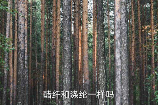 醋纖和滌綸一樣嗎
