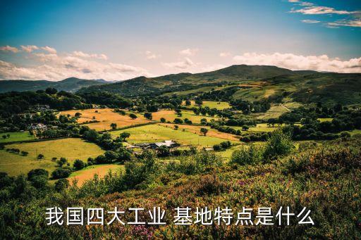 我國四大工業(yè) 基地特點是什么