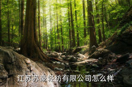 江蘇蘇豪輕紡有限公司怎么樣