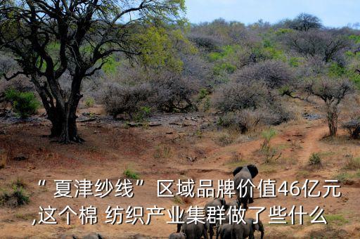 “ 夏津紗線”區(qū)域品牌價(jià)值46億元,這個(gè)棉 紡織產(chǎn)業(yè)集群做了些什么