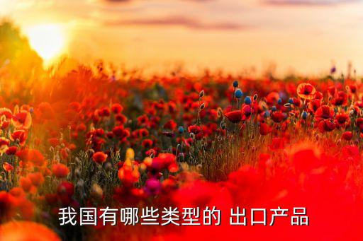  我國(guó)有哪些類(lèi)型的 出口產(chǎn)品