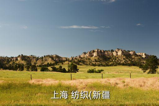 上海紡織集團(tuán) 介紹,東方國(guó)際上海紡織集團(tuán)