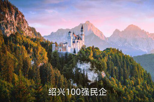  紹興100強民企