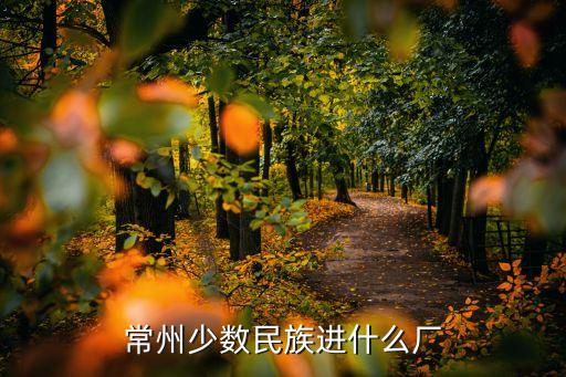 常州少數(shù)民族進(jìn)什么廠