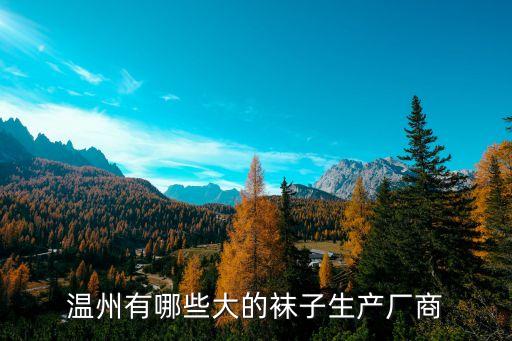 溫州有哪些大的襪子生產(chǎn)廠商