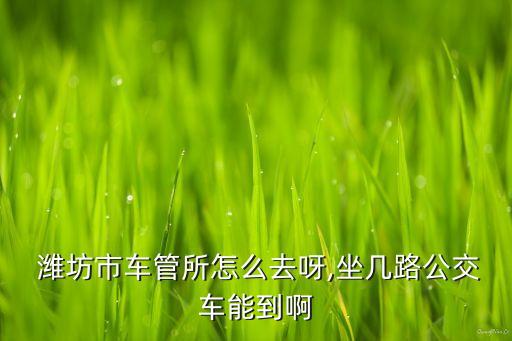  濰坊市車管所怎么去呀,坐幾路公交車能到啊
